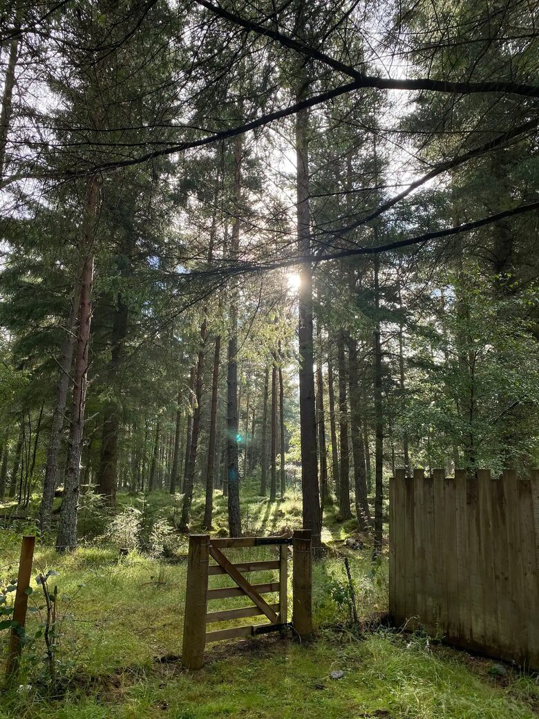 Lag na Coille - Nethy Bridge, United Kingdom
