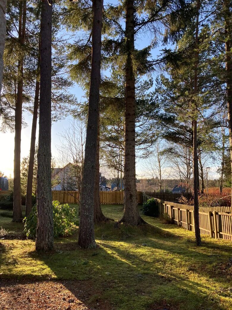 Lag na Coille - Nethy Bridge, United Kingdom
