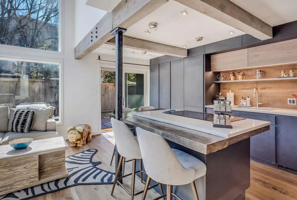 Aspen Village Modern Condo - Aspen, Colorado