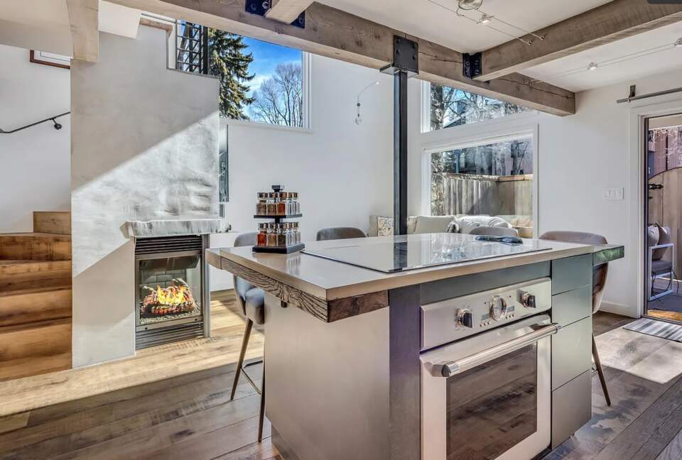 Aspen Village Modern Condo - Aspen, Colorado