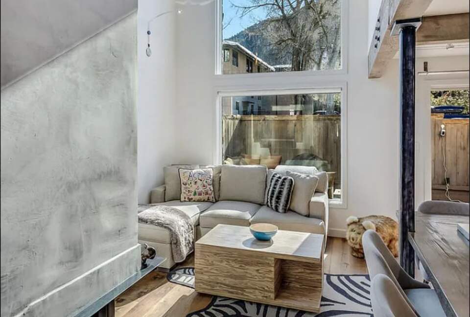 Aspen Village Modern Condo - Aspen, Colorado