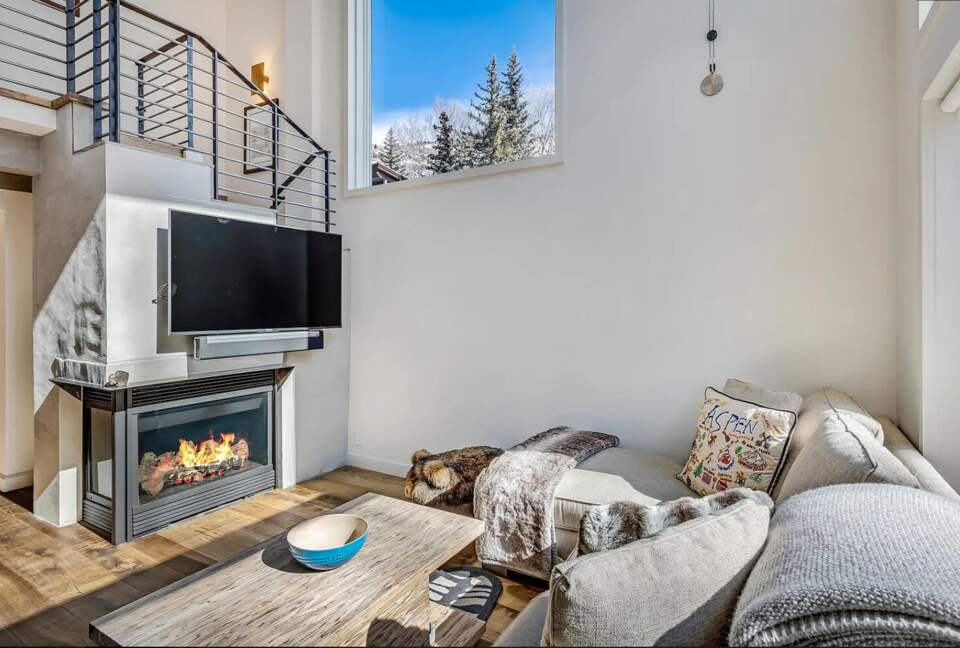 Aspen Village Modern Condo - Aspen, Colorado