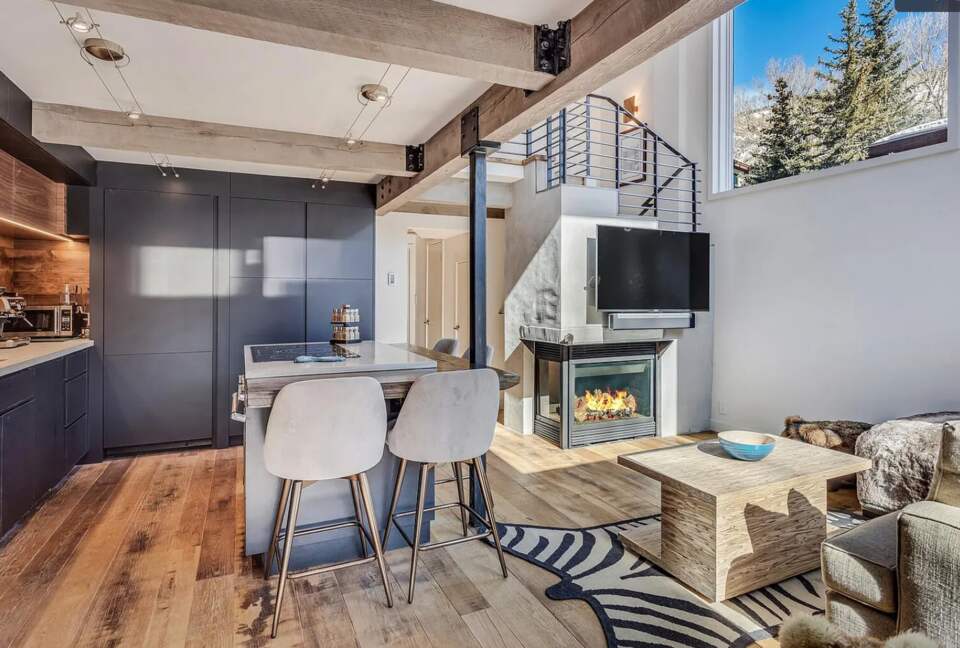 Aspen Village Modern Condo - Aspen, Colorado
