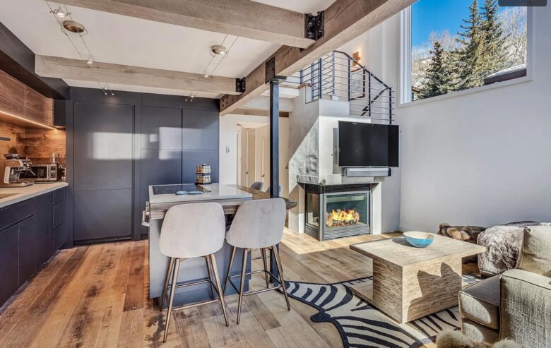 Aspen Village Modern Condo - Aspen, Colorado