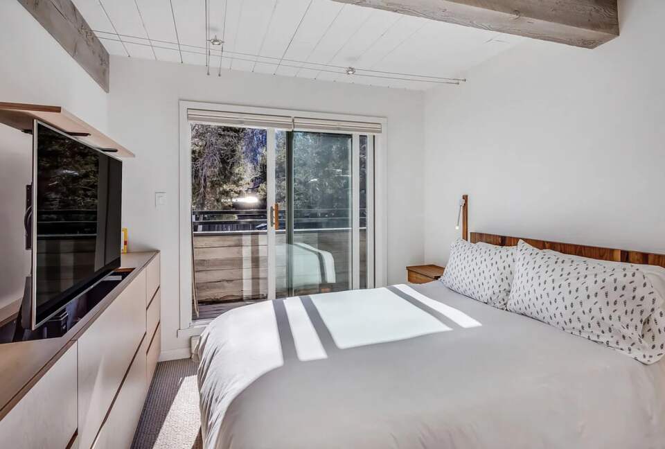 Aspen Village Modern Condo - Aspen, Colorado