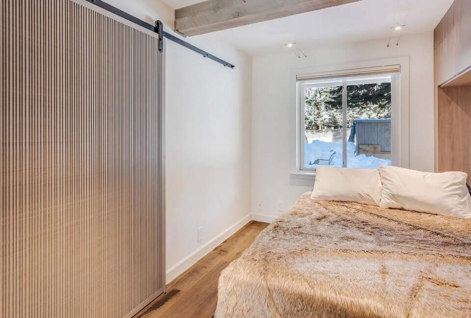 Aspen Village Modern Condo - Aspen, Colorado