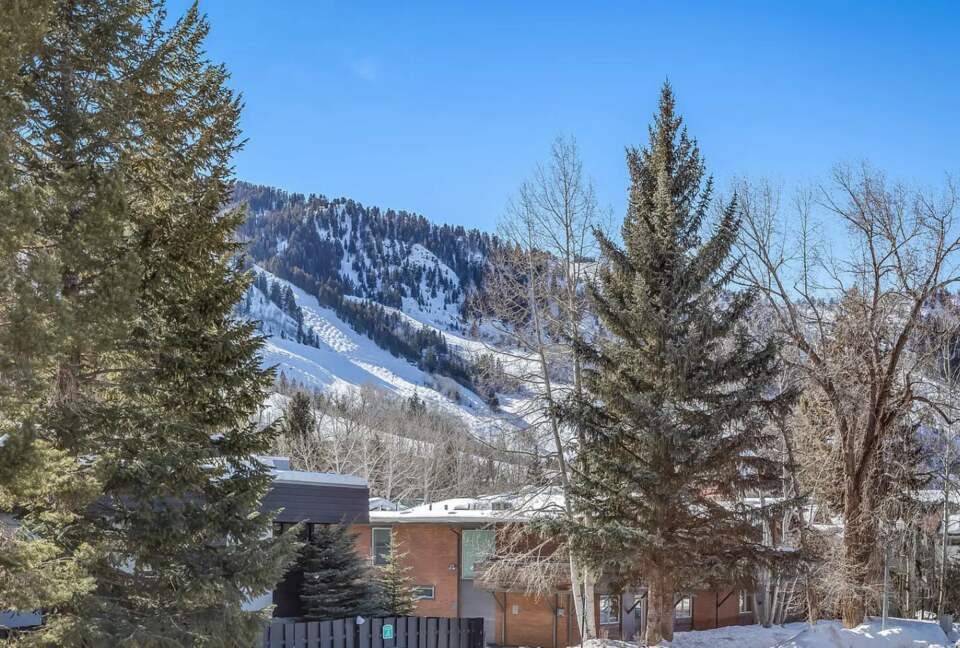 Aspen Village Modern Condo - Aspen, Colorado