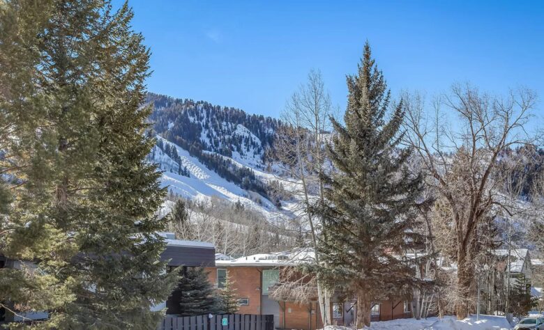 Aspen Village Modern Condo - Aspen, Colorado