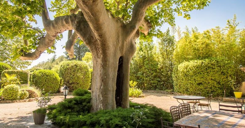 Mas de Shogol - Robion, France