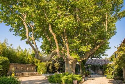 Mas de Shogol - Robion, France