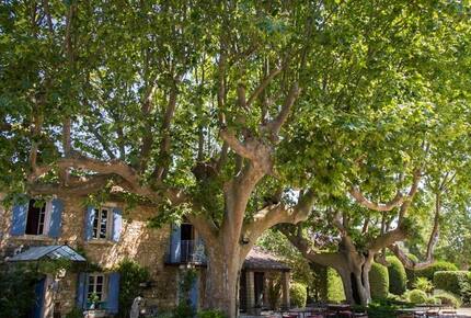 Mas de Shogol - Robion, France