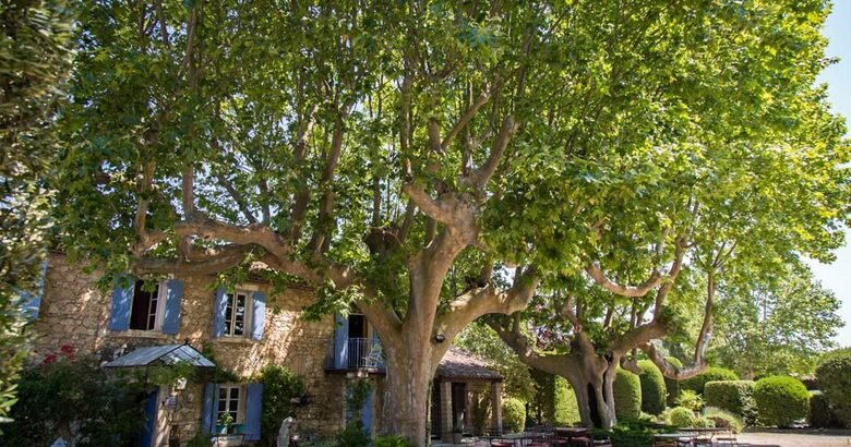 Mas de Shogol - Robion, France