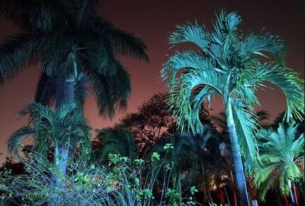 Our garden during the night