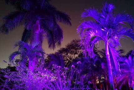 Our Garden during the night