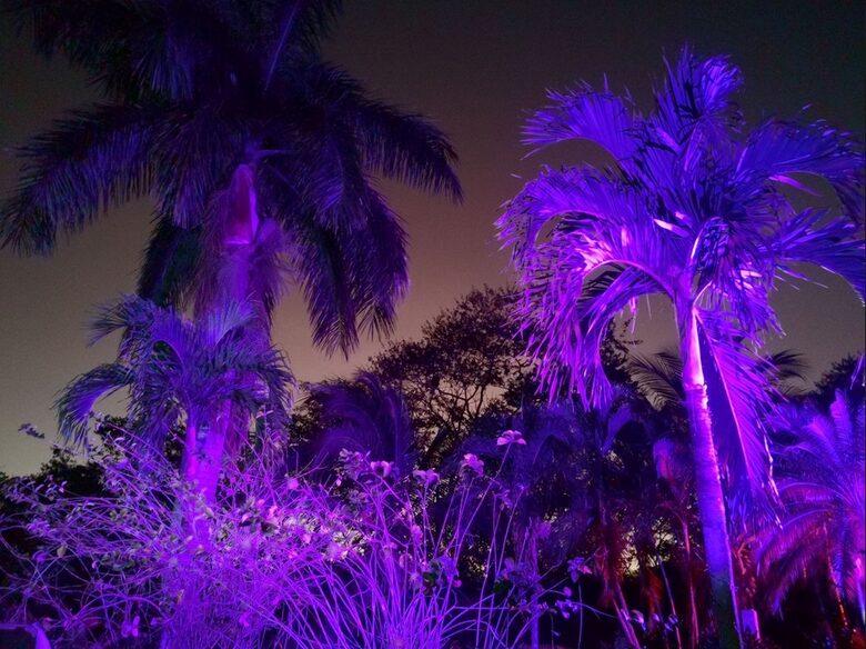 Our Garden during the night