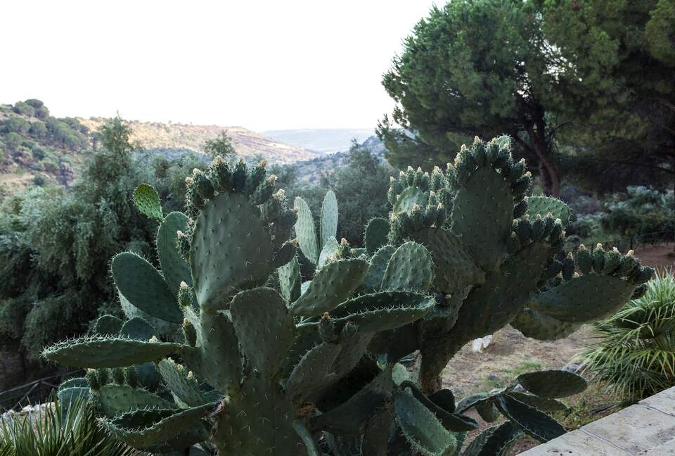 Villa Palmento, Sicily. Restored winery with 24 acres and heated pool - Caltagirone, Italy