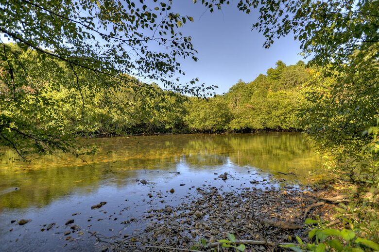 Luxury Mountain Cabin on Toccoa River and 4 Private Acres! - Blue Ridge, Georgia