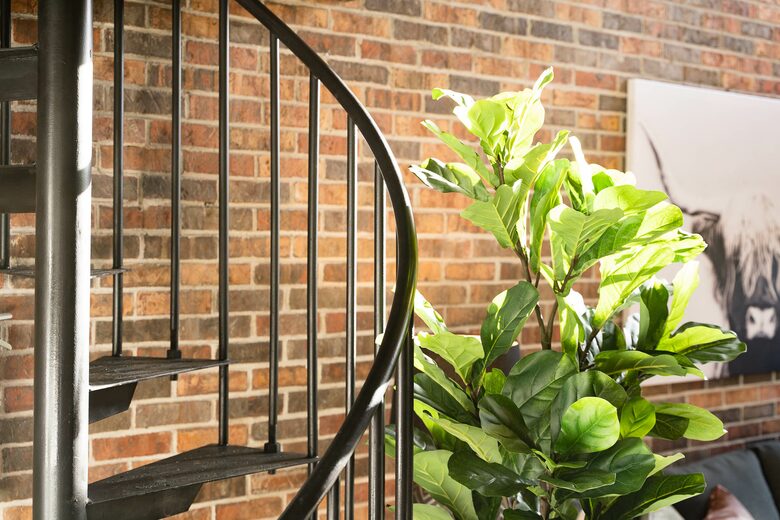 Beech Mountain Retreat | Walk to Beech Mountain Slopes - Beech Mountain, North Carolina