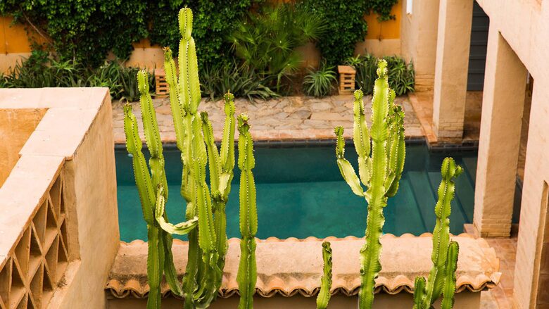 Sublime Renovated Caravanserai from the 18-19th Century in the Noble Area of Taroudant's Medina - Taroudant, Morocco