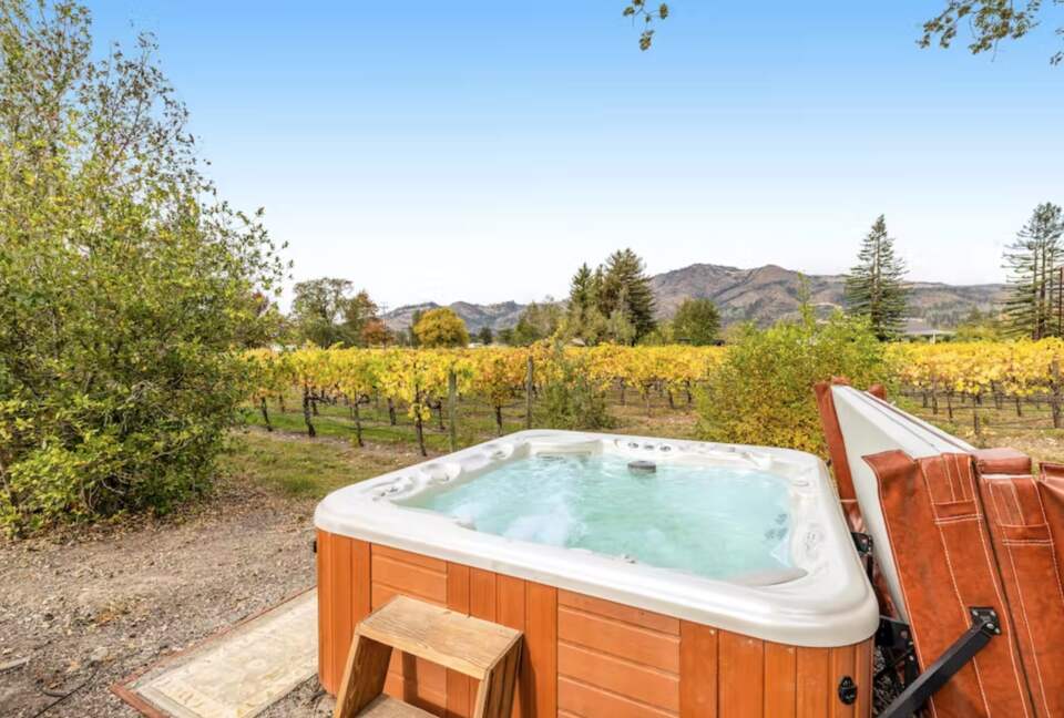 Wine Country Vineyard Estate - Kenwood, California