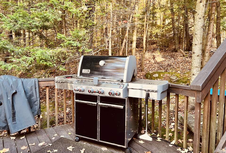 North Muskoka Lakefront Cottage | With a Sandy Beach and Fishing - Kearney, Canada