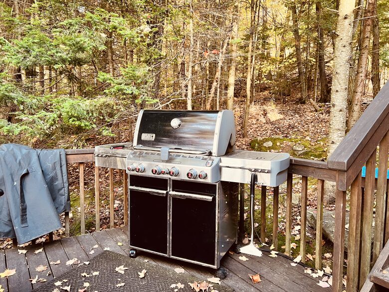 North Muskoka Lakefront Cottage | With a Sandy Beach and Fishing - Kearney, Canada