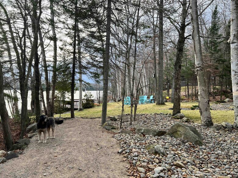 North Muskoka Lakefront Cottage | With a Sandy Beach and Fishing - Kearney, Canada