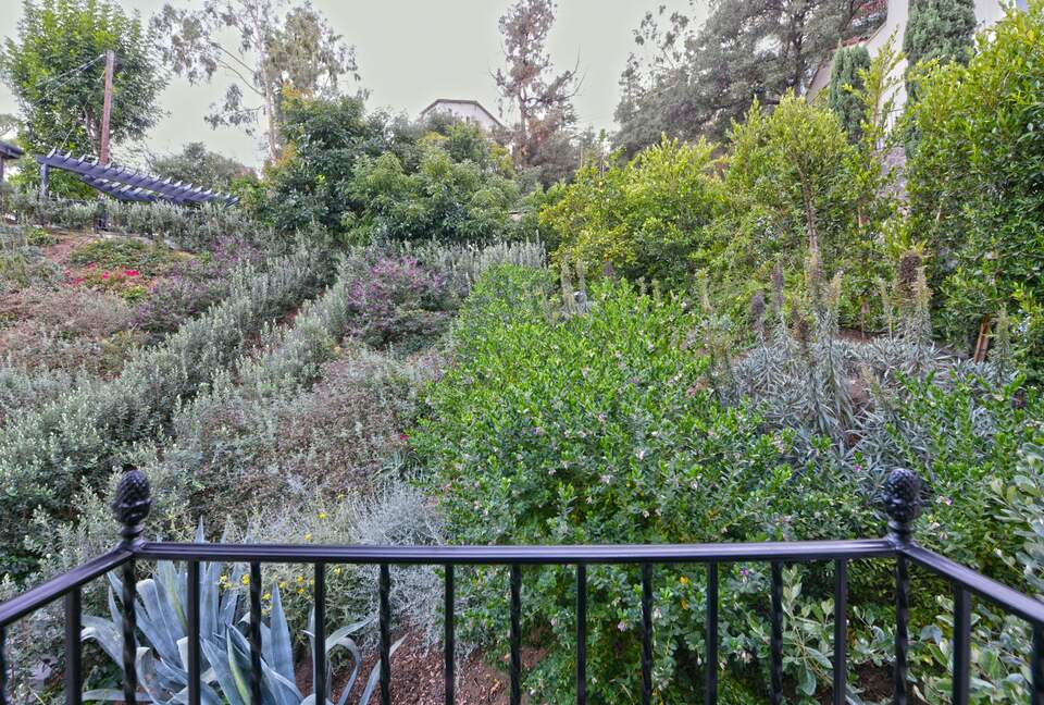 Stunning Hollywood Hills Oasis - Los Angeles, California