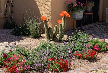 Rio Verde - Rio Verde, Arizona