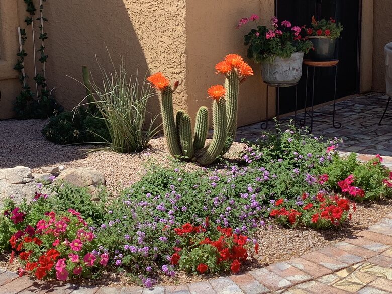 Rio Verde - Rio Verde, Arizona