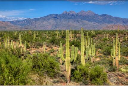 Rio Verde - Rio Verde, Arizona