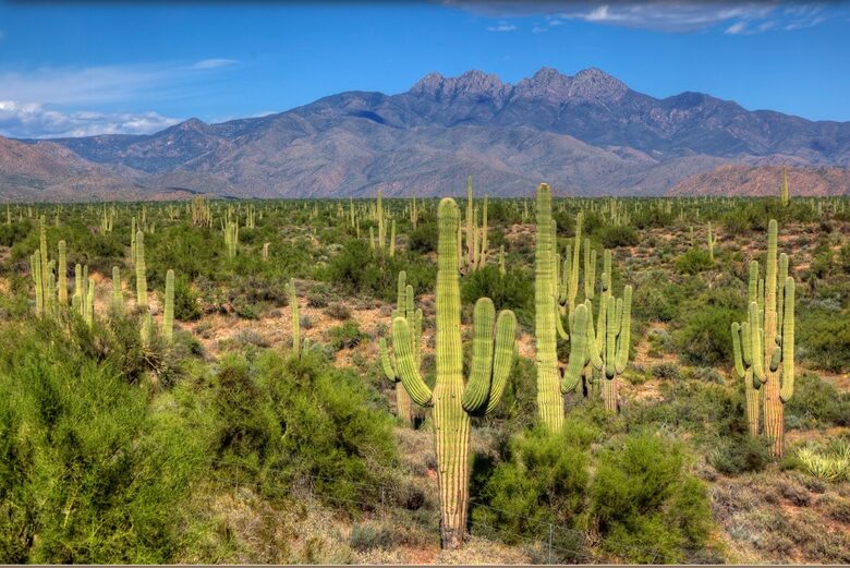 Rio Verde - Rio Verde, Arizona