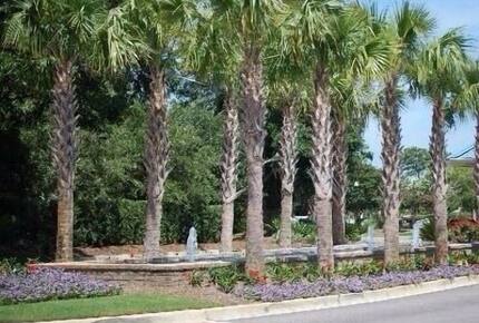 Beautiful Oceanfront Getaway - 200 Steps from Bed to Beach - Pawleys Island, South Carolina