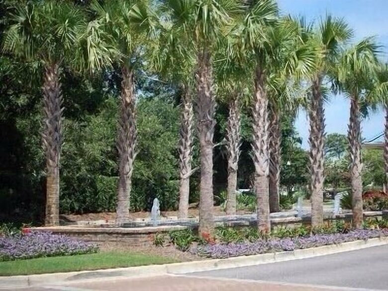 Beautiful Oceanfront Getaway - 200 Steps from Bed to Beach - Pawleys Island, South Carolina