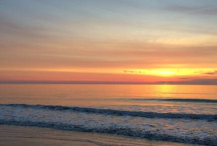 Beautiful Oceanfront Getaway - 200 Steps from Bed to Beach - Pawleys Island, South Carolina