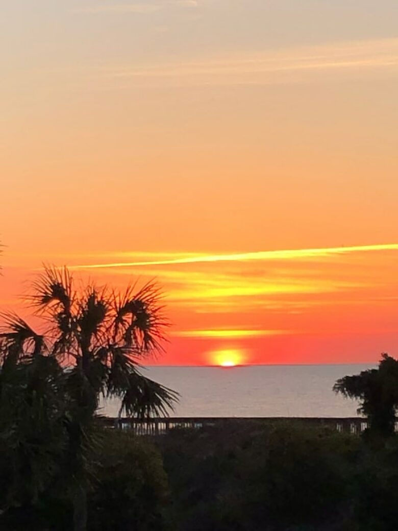 Beautiful Oceanfront Getaway - 200 Steps from Bed to Beach - Pawleys Island, South Carolina