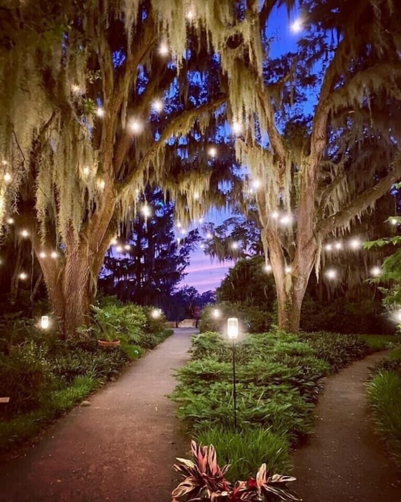 Beautiful Oceanfront Getaway - 200 Steps from Bed to Beach - Pawleys Island, South Carolina