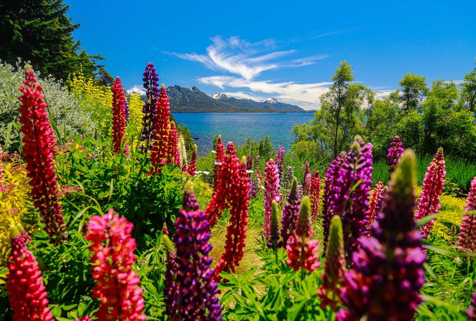Patagonia Luxury Lakefront Home - San Carlos de Bariloche, Argentina