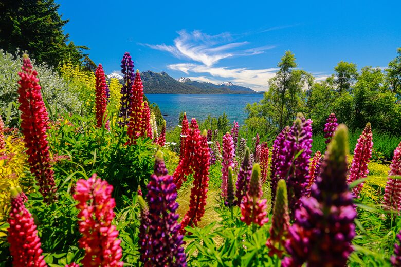 Patagonia Luxury Lakefront Home - San Carlos de Bariloche, Argentina