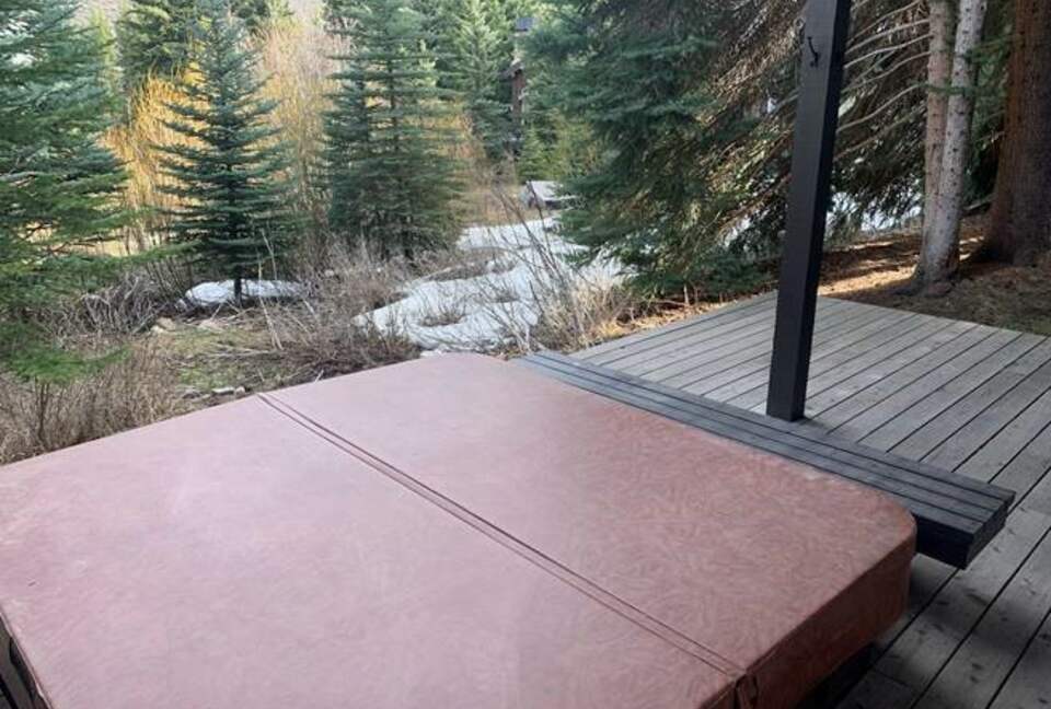 Vail Ski-In/Ski-Out Getaway with Amazing Location on the Slopes - Quick Ski/Walking Access to Lionshead! - Vail, Colorado