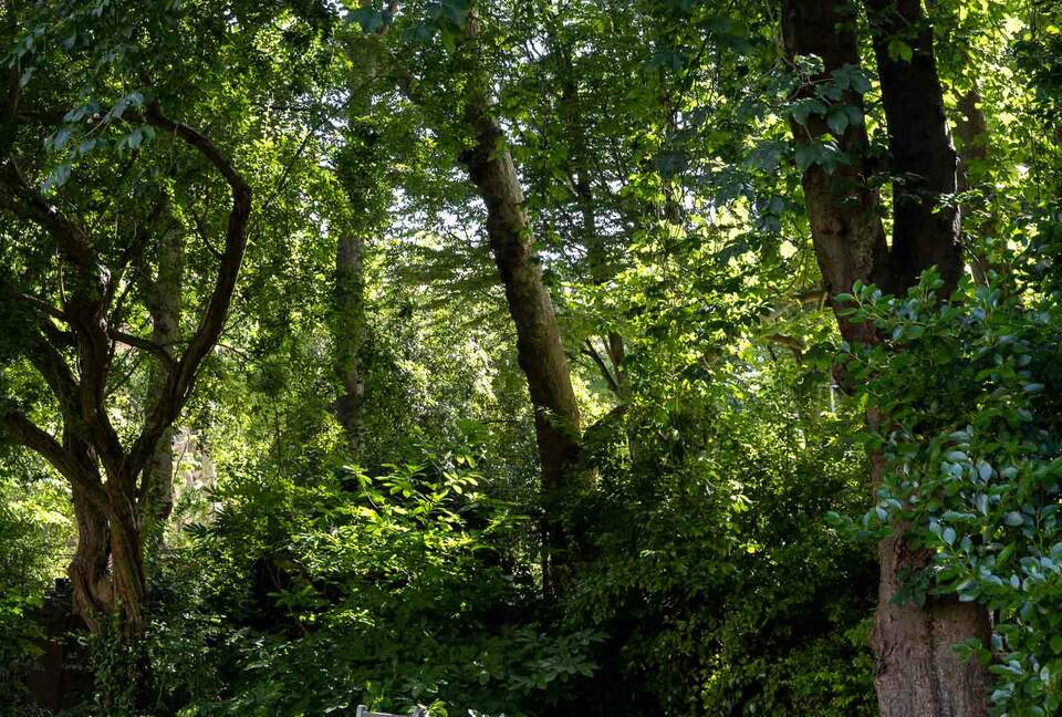 Airlie Gardens (R) - London, United Kingdom