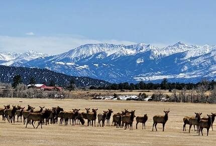 Cozy Mountain Chalet at Chalk Creek Canyon - Nathrop, Colorado