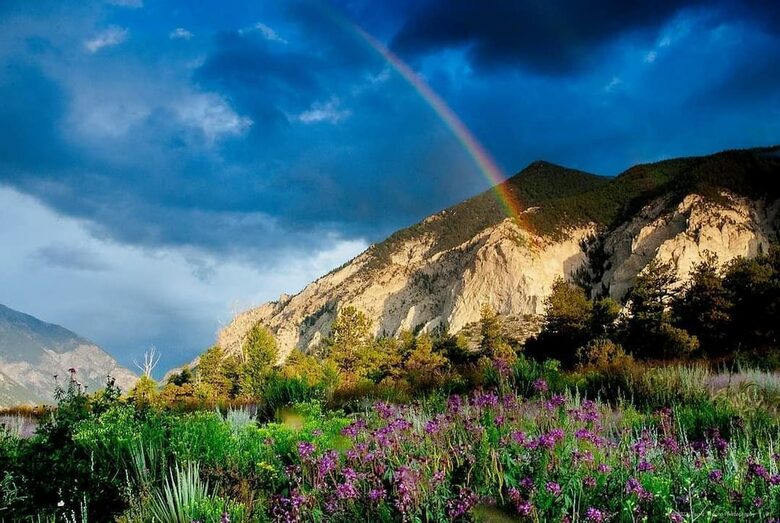 Cozy Mountain Chalet at Chalk Creek Canyon - Nathrop, Colorado