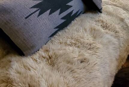 Cozy Mountain Chalet at Chalk Creek Canyon - Nathrop, Colorado