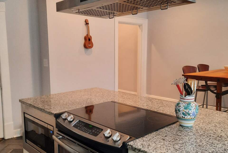 Charming Townhouse in Richmond's Fan District - Walker's Paradise! - Richmond, Virginia