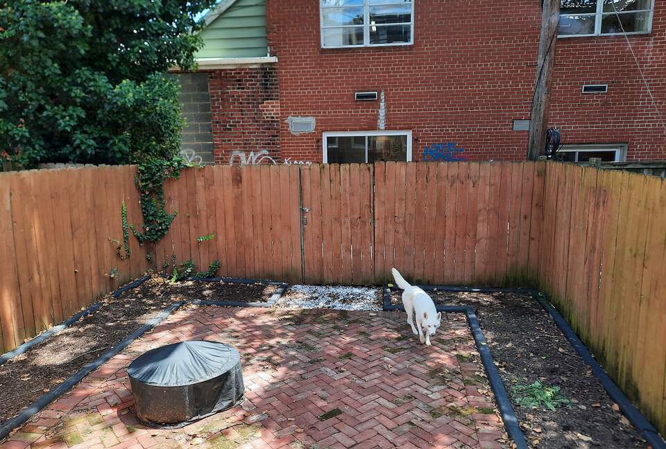 Charming Townhouse in Richmond's Fan District - Walker's Paradise! - Richmond, Virginia