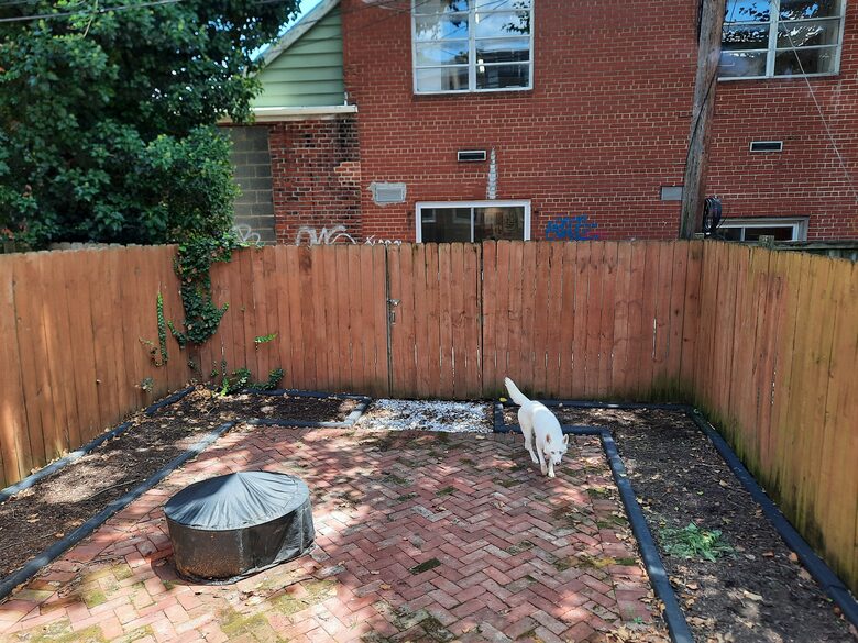 Charming Townhouse in Richmond's Fan District - Walker's Paradise! - Richmond, Virginia