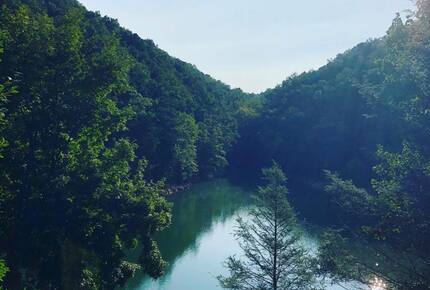 Norris Lake Waterfront Cabin - Sleeps 25 - La Follette, Tennessee