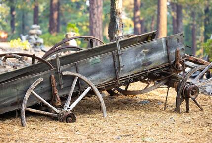 Quintessential Mountain Chalet On 10 Acres - Truckee, California