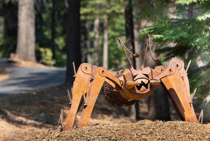 Quintessential Mountain Chalet On 10 Acres - Truckee, California